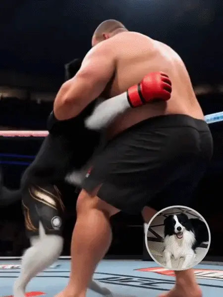 Mascota KO