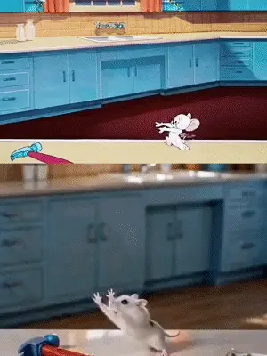 Cat and Mouse Impersonation Show