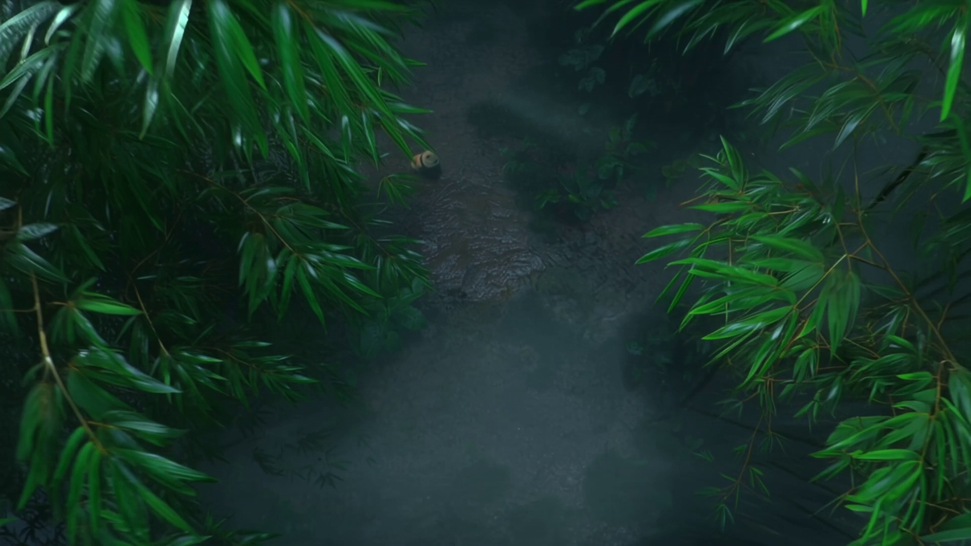 Jungle Adventure