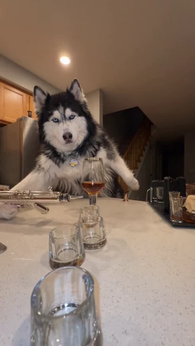Pour some wine